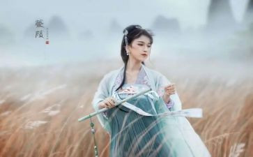 蒹葭赋教案5篇