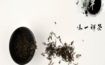 禅的故事读后感8篇