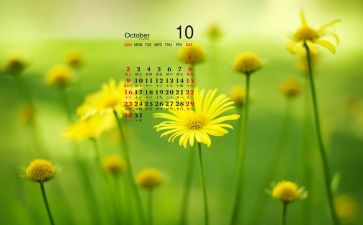 2024年大班10月份工作总结8篇