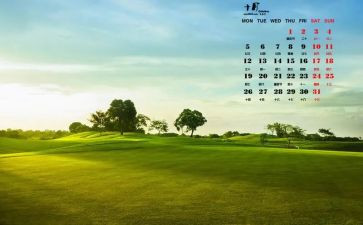 2024年幼儿园中班10月工作总结7篇