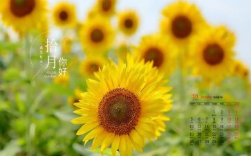 幼儿园大班10月份工作计划5篇