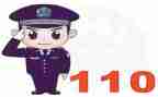 110辅警工作个人总结8篇