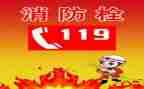 119走进消防队活动方案8篇
