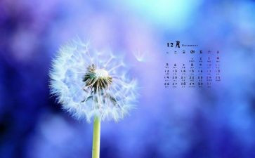 12月安全工作总结8篇