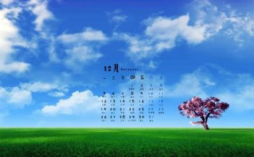 12月区角活动总结5篇
