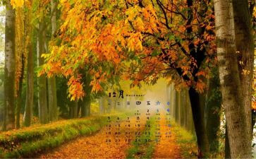 幼儿园12月份工作计划5篇