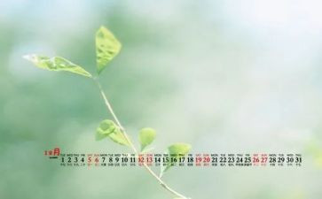12月安全活动总结7篇