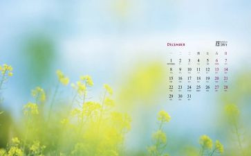 12月幼儿园月工作计划最新8篇