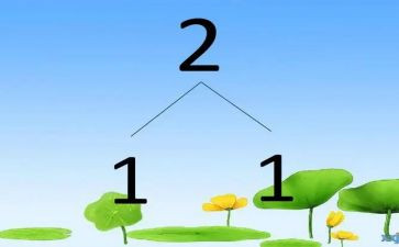 14的分解教案优秀6篇