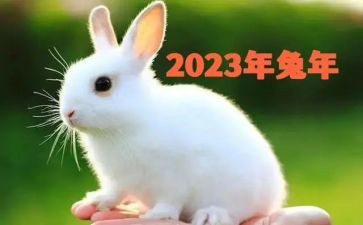 2023生产安全心得体会推荐8篇