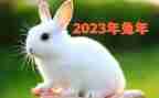 2023幼师春个人总结优秀8篇