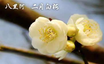 幼儿园大班2月份工作计划8篇