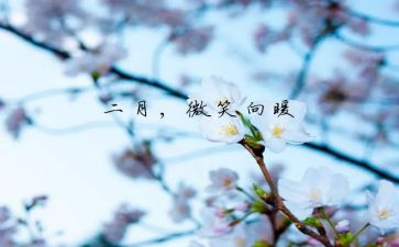 计划2月工作计划通用5篇