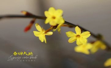 酒店2月份工作计划6篇