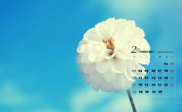 幼儿园中班2月份工作计划8篇