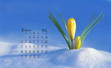 幼儿园3月份园务工作计划6篇