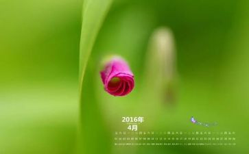 幼儿园班主任4月工作总结6篇