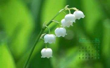 出纳工作4月总结范文6篇