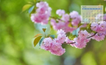 4月份月工作计划优秀6篇