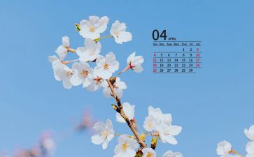 4月份大大班工作总结8篇