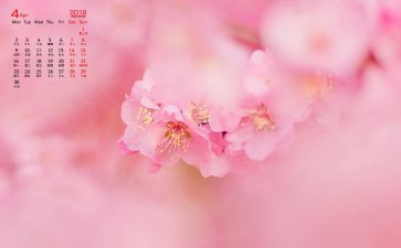 生活部4月份工作总结5篇