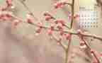 4月卫生月教案7篇