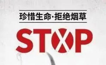 531培训心得参考6篇