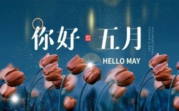 5月份周工作计划5篇