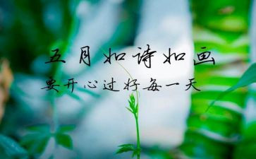 村5月工作计划参考7篇