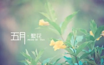 5月4日活动方案5篇