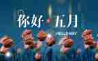 5月份周工作计划5篇