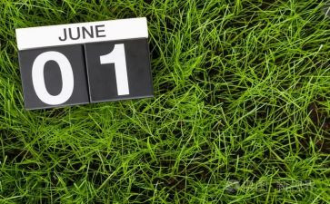 6月与工作计划优秀7篇