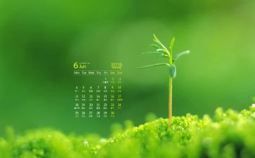 6月安全生产日活动总结最新7篇