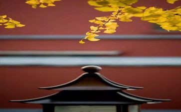 8月销售工作计划8篇