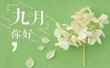 9月销售工作总结7篇