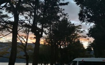 河水与岸作文8篇