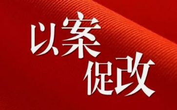 村以案促改工作总结6篇