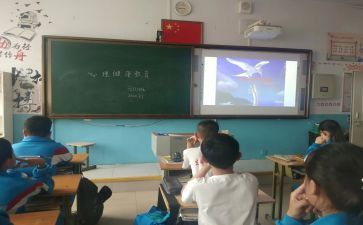 小学安全教育主题班会课教案优质5篇