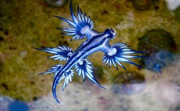 高中生物教案8篇