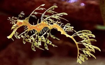 初中生物教师年度总结6篇