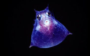 生物培训心得体会5篇