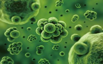 生物教师年度总结6篇