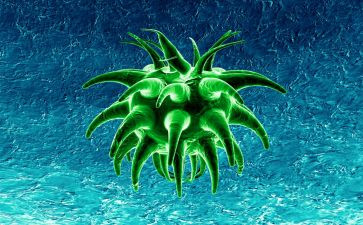 生物教研工作总结优秀5篇