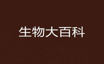 单细胞生物教案6篇