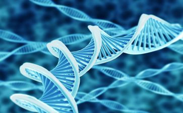 生物教师教育教育工作总结6篇