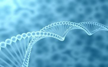 高二生物组工作总结5篇