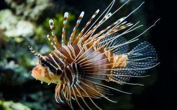 初中生物年度总结5篇