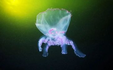 生物教师工作年终总结6篇