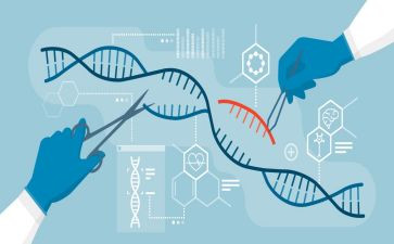 生物个人学期总结5篇