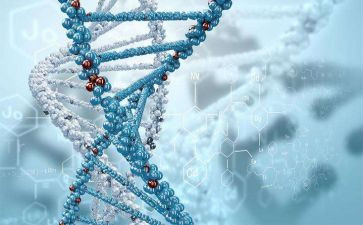生物个人年度总结6篇